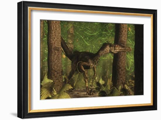 Velociraptor Dinosaur Stands Alert in an Araucaria Tree Forest-Stocktrek Images-Framed Art Print