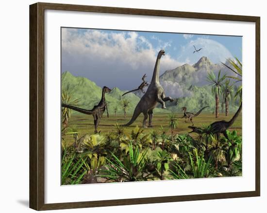 Velociraptor Dinosaurs Attack a Camarasaurus for their Next Meal-Stocktrek Images-Framed Photographic Print