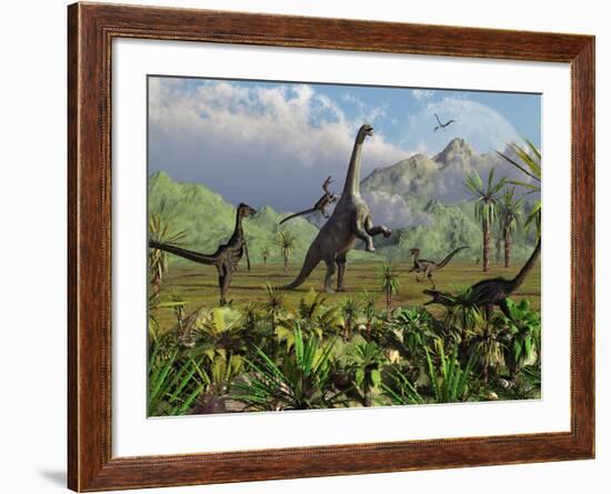 Velociraptor Dinosaurs Attack a Camarasaurus for their Next Meal-Stocktrek Images-Framed Photographic Print