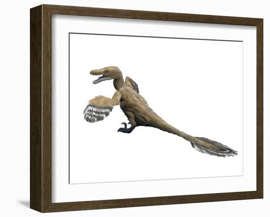 Velociraptor Mongoliensis, Late Cretaceous of Mongolia-null-Framed Art Print