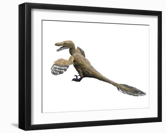 Velociraptor Mongoliensis, Late Cretaceous of Mongolia-null-Framed Art Print