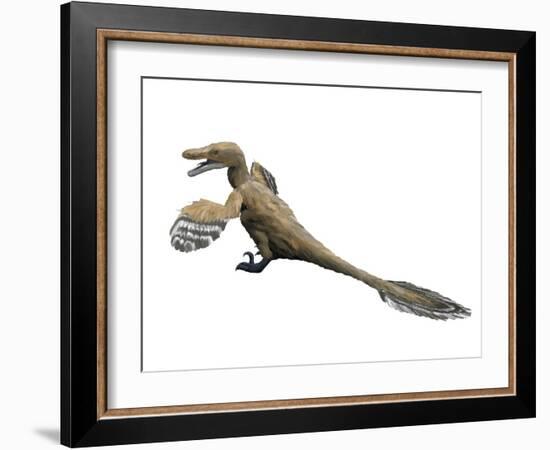 Velociraptor Mongoliensis, Late Cretaceous of Mongolia-null-Framed Art Print
