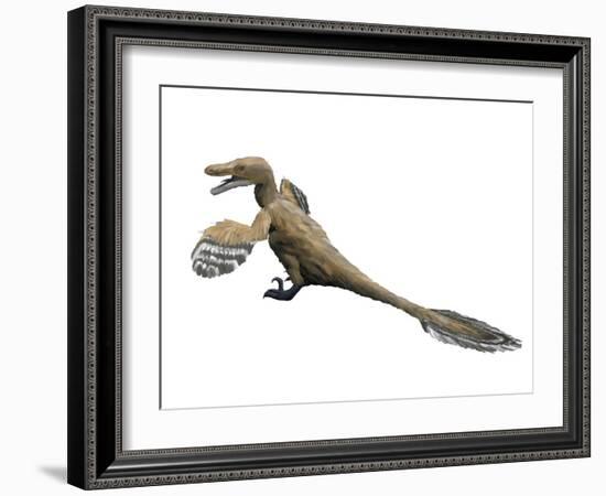 Velociraptor Mongoliensis, Late Cretaceous of Mongolia-null-Framed Art Print