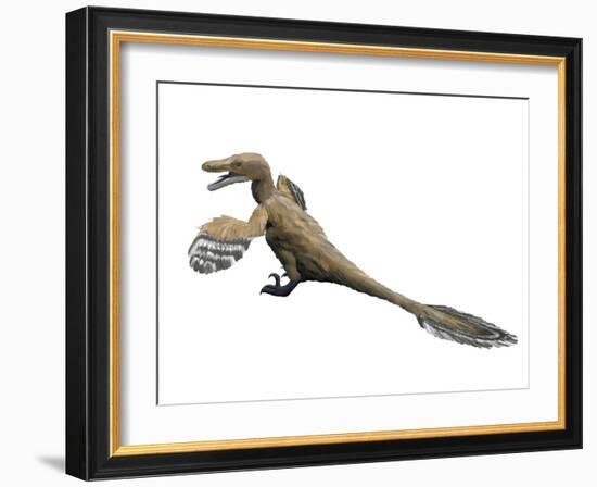 Velociraptor Mongoliensis, Late Cretaceous of Mongolia-null-Framed Art Print