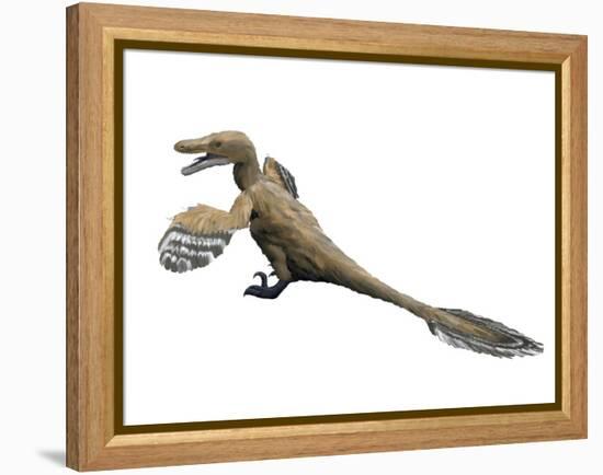 Velociraptor Mongoliensis, Late Cretaceous of Mongolia-null-Framed Stretched Canvas