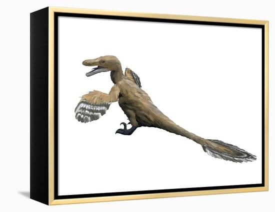 Velociraptor Mongoliensis, Late Cretaceous of Mongolia-null-Framed Stretched Canvas