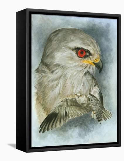 Velocity-Barbara Keith-Framed Premier Image Canvas