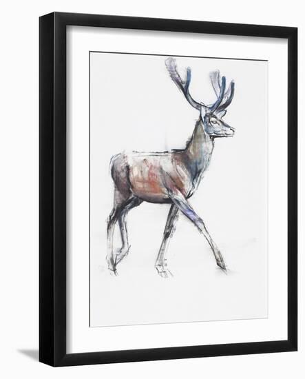 Velvet, 2006-Mark Adlington-Framed Giclee Print