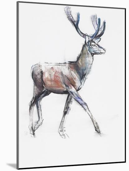 Velvet, 2006-Mark Adlington-Mounted Giclee Print