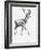 Velvet, 2006-Mark Adlington-Framed Giclee Print