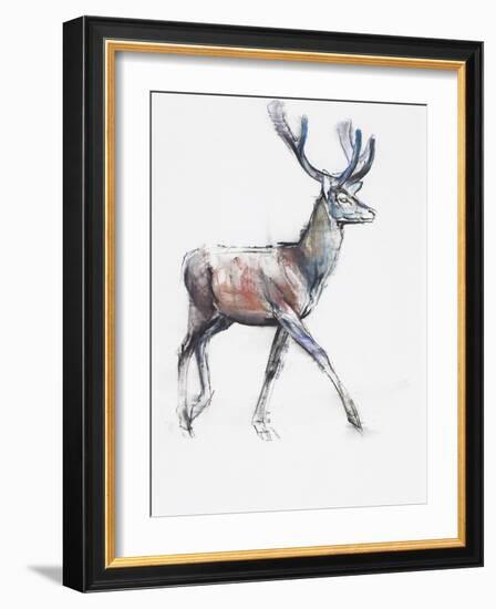 Velvet, 2006-Mark Adlington-Framed Giclee Print