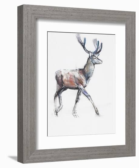 Velvet, 2006-Mark Adlington-Framed Giclee Print