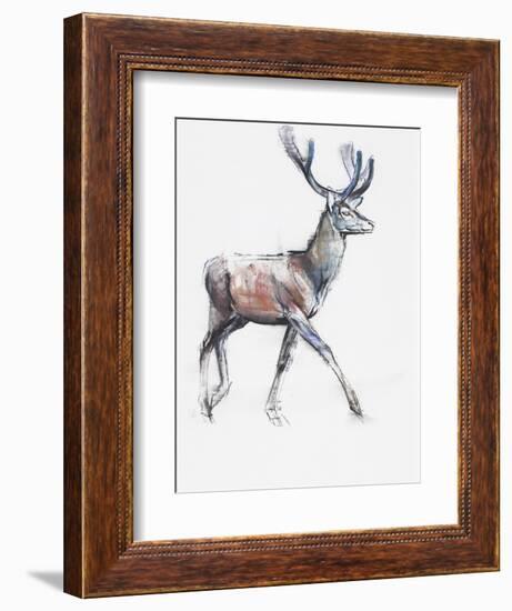 Velvet, 2006-Mark Adlington-Framed Giclee Print