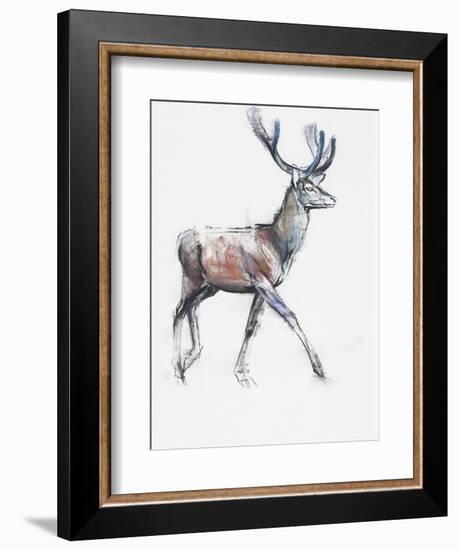 Velvet, 2006-Mark Adlington-Framed Giclee Print