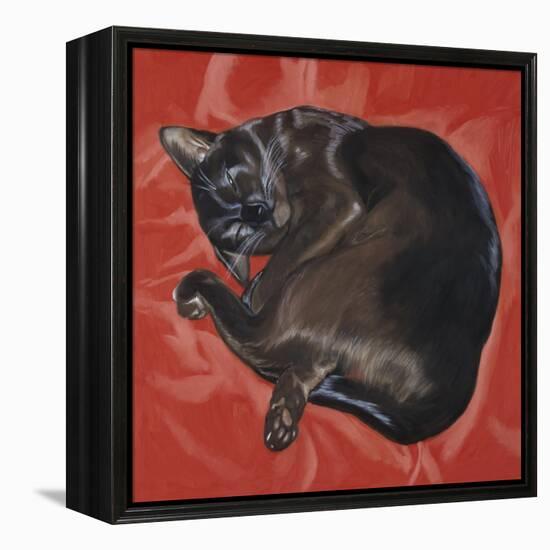 Velvet Cat I (Chat Velours I)-Isy Ochoa-Framed Premier Image Canvas