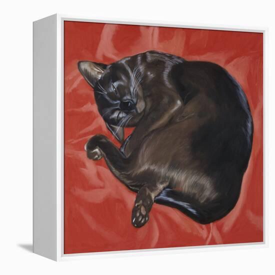 Velvet Cat I (Chat Velours I)-Isy Ochoa-Framed Premier Image Canvas