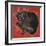 Velvet Cat I (Chat Velours I)-Isy Ochoa-Framed Giclee Print