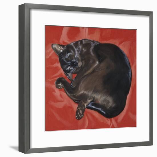 Velvet Cat I (Chat Velours I)-Isy Ochoa-Framed Giclee Print