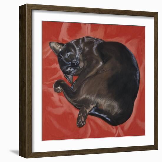 Velvet Cat I (Chat Velours I)-Isy Ochoa-Framed Giclee Print