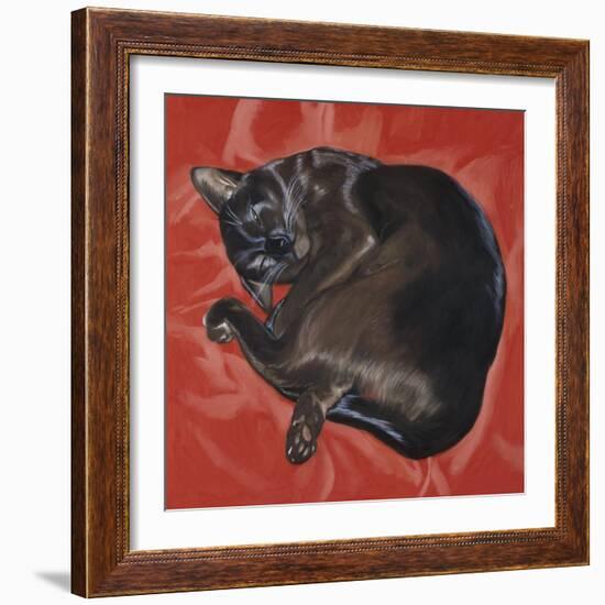 Velvet Cat I (Chat Velours I)-Isy Ochoa-Framed Giclee Print