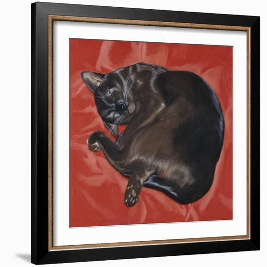 Velvet Cat I (Chat Velours I)-Isy Ochoa-Framed Giclee Print