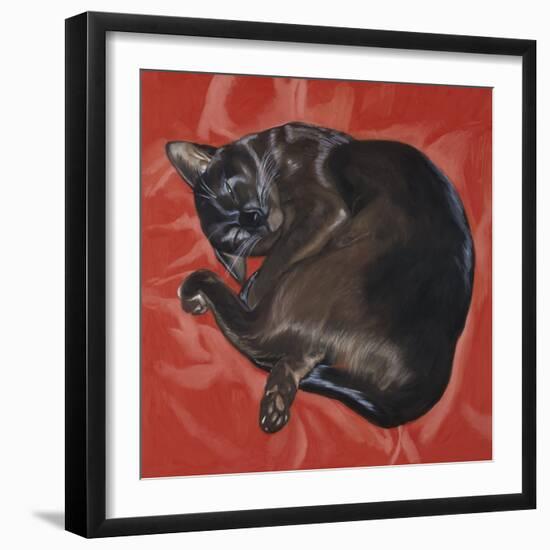 Velvet Cat I (Chat Velours I)-Isy Ochoa-Framed Giclee Print
