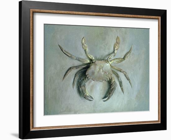 Velvet Crab, 1870-1-John Ruskin-Framed Giclee Print