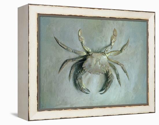 Velvet Crab, 1870-1-John Ruskin-Framed Premier Image Canvas