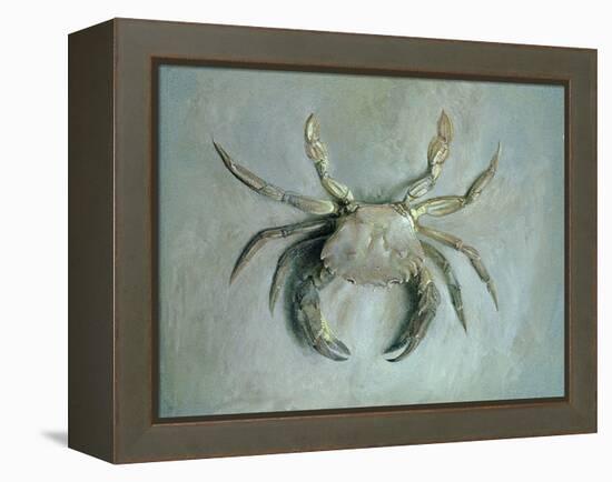 Velvet Crab, 1870-1-John Ruskin-Framed Premier Image Canvas