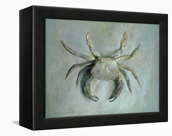 Velvet Crab, 1870-1-John Ruskin-Framed Premier Image Canvas