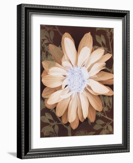 Velvet Daisy 1-Matina Theodosiou-Framed Art Print