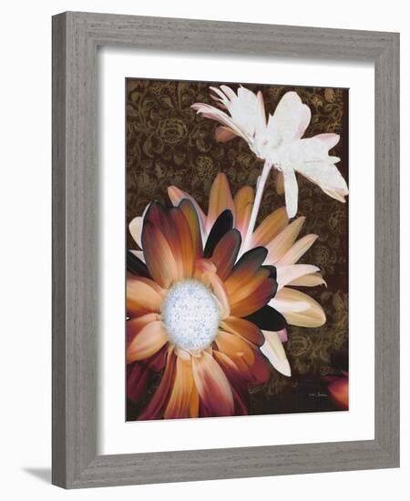 Velvet Daisy 2-Matina Theodosiou-Framed Art Print