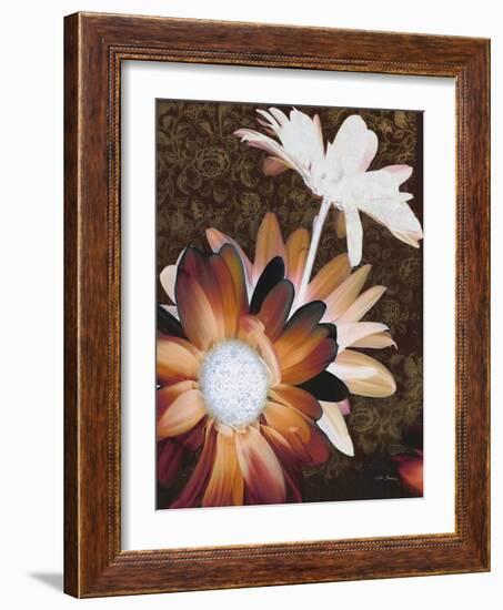 Velvet Daisy 2-Matina Theodosiou-Framed Art Print