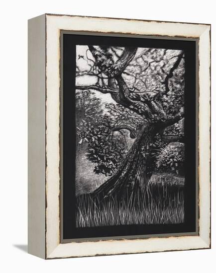 Venerable Oak, 2023, (Etching)-Helen White-Framed Premier Image Canvas