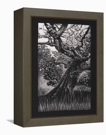 Venerable Oak, 2023, (Etching)-Helen White-Framed Premier Image Canvas