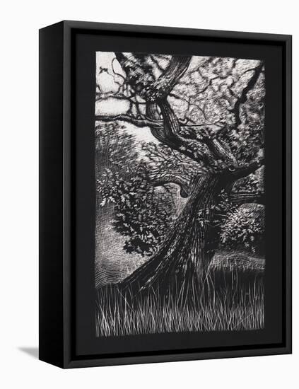 Venerable Oak, 2023, (Etching)-Helen White-Framed Premier Image Canvas