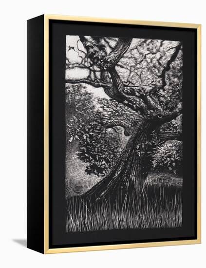 Venerable Oak, 2023, (Etching)-Helen White-Framed Premier Image Canvas