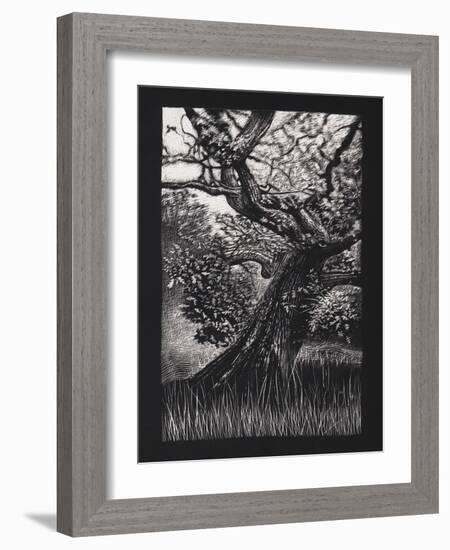 Venerable Oak, 2023, (Etching)-Helen White-Framed Giclee Print