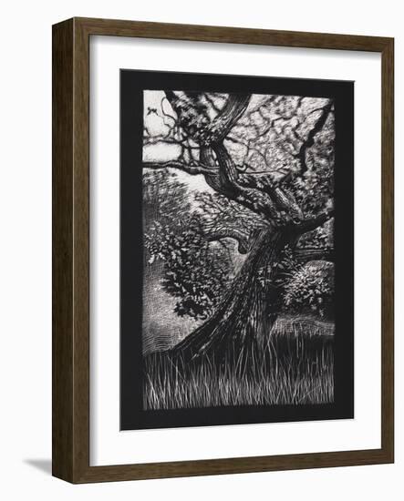 Venerable Oak, 2023, (Etching)-Helen White-Framed Giclee Print