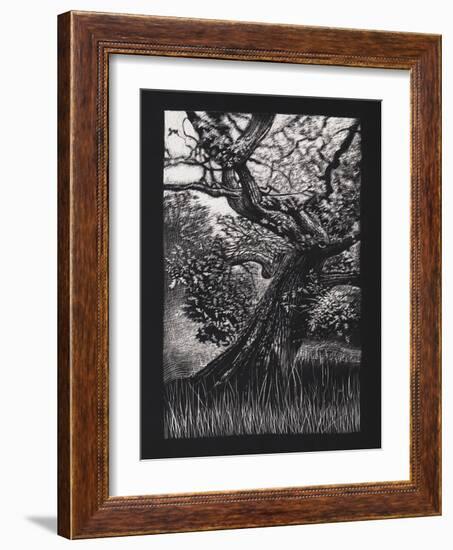 Venerable Oak, 2023, (Etching)-Helen White-Framed Giclee Print