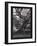 Venerable Oak, 2023, (Etching)-Helen White-Framed Giclee Print