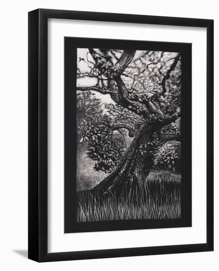 Venerable Oak, 2023, (Etching)-Helen White-Framed Giclee Print