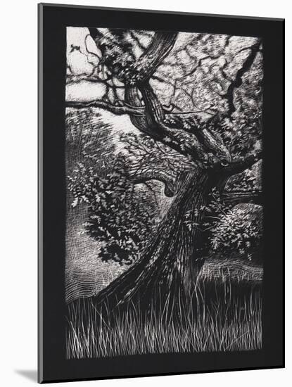 Venerable Oak, 2023, (Etching)-Helen White-Mounted Giclee Print