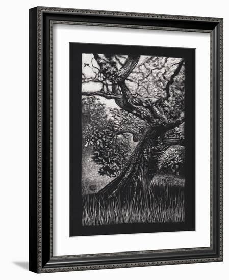 Venerable Oak, 2023, (Etching)-Helen White-Framed Giclee Print