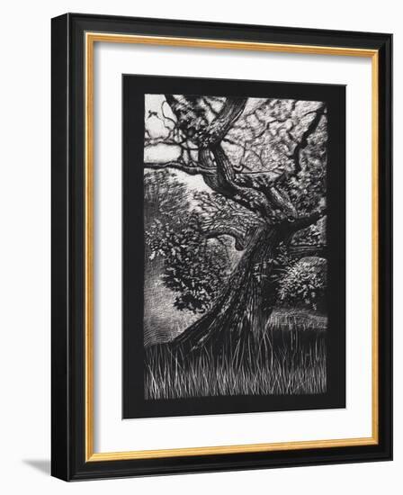 Venerable Oak, 2023, (Etching)-Helen White-Framed Giclee Print