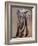 Venerable Old Matriarch-Mark Adlington-Framed Giclee Print