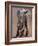 Venerable Old Matriarch-Mark Adlington-Framed Giclee Print