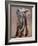 Venerable Old Matriarch-Mark Adlington-Framed Giclee Print