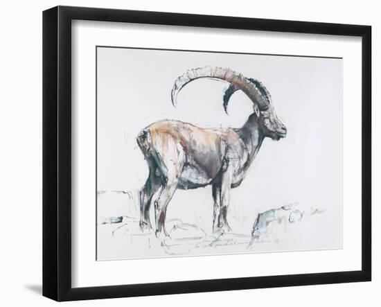 Venerando Stambecco, 2006-Mark Adlington-Framed Giclee Print