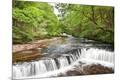 Premium Photographic Print